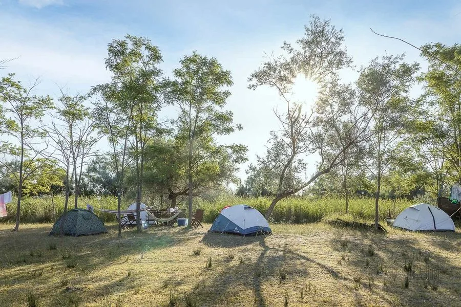 Green Dolphin Camping